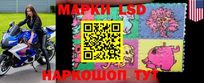 дурь Заводоуковск