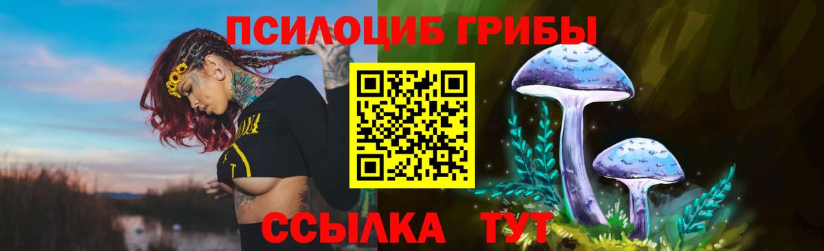 Электросталь  Галлюциногенные грибы MAGIC MUSHROOMS  Вход с VPN 